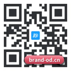 系统版 iOS 二维码